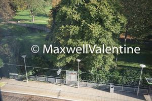 Photo 13- click for photo gallery